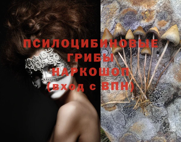 твердый Дмитровск