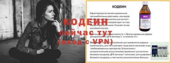 твердый Дмитровск