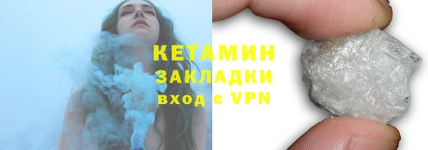 твердый Дмитровск