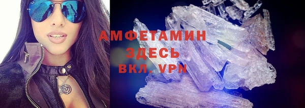 твердый Дмитровск